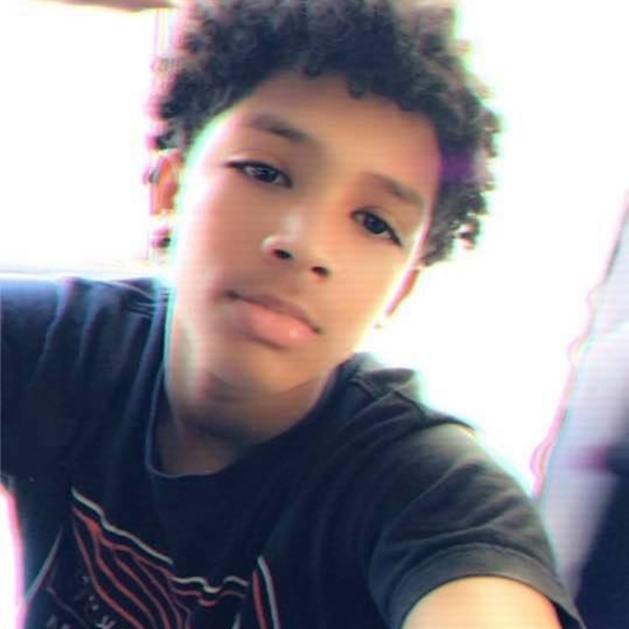 Meet your Posher, Roylin - Picture 1 of 1